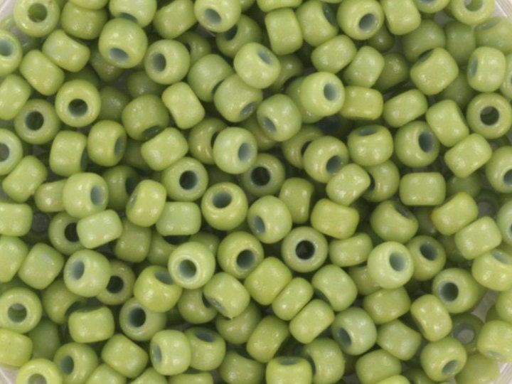 10g Miyuki seed beads 8/0, duracoat opaque fennel 4473, japanese beads, round rocailles, light green, size 8 3mm, soft green glass beads